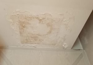 Wall leakage repair by Pioneer Chemicals in Pakistan Seepage treatment applied on residential walls Crack filling and wall damp-proofing in Pakistan Cementitious coating for wall waterproofing Industrial wall leakage solution by Pioneer Chemicals Moisture prevention and seepage treatment for walls Residential wall leakage treatment in Pakistan Exterior wall waterproofing by Pioneer Chemicals Wall dampness and seepage solution for buildings Professional wall leakage repair service in Pakistan