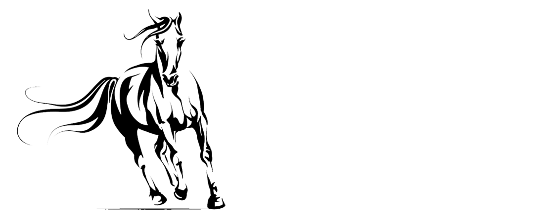 Pioneer_Logo_
