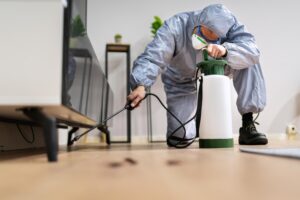 Professional Termite Treatment for Homes and Offices in Pakistan