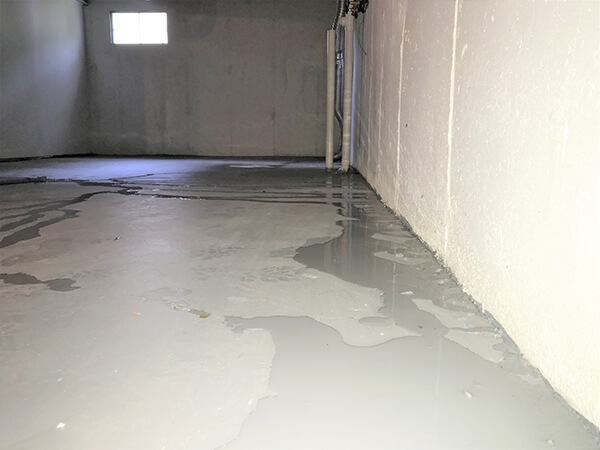 Basement interior walls waterproofing by Pioneer Chemicals in Pakistan Cementitious waterproofing applied on basement walls Polyurethane liquid waterproofing for basement interior walls Crack repair and wall damp-proofing in basement Residential basement waterproofing solution in Pakistan Commercial basement waterproofing service Eco-friendly waterproofing for basement walls Long-lasting protection for basement interior walls Seamless basement waterproofing solution by Pioneer Chemicals Basement interior waterproofing preventing water seepage